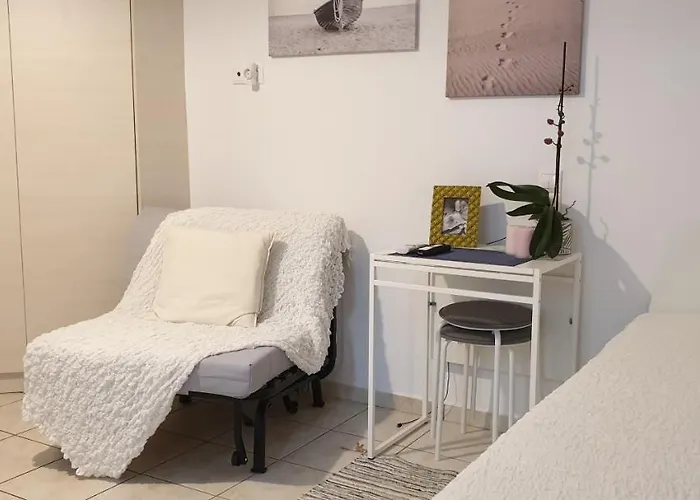 Pet friendly La Playa Studio Best Location Close To The Beach & Center Platys Gialos 