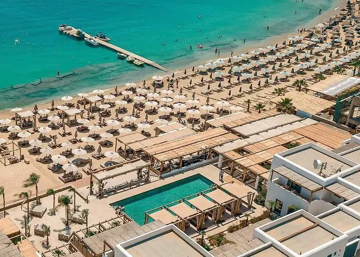 Pet friendly La Playa Studio Best Location Close To The Beach & Center Platys Gialos 