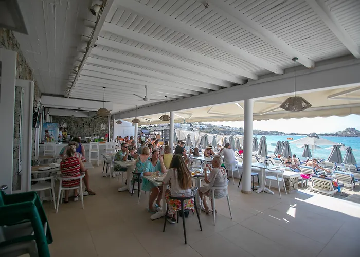 Pet friendly Acrogiali Beachfront Hotel Mykonos Platys Gialos 