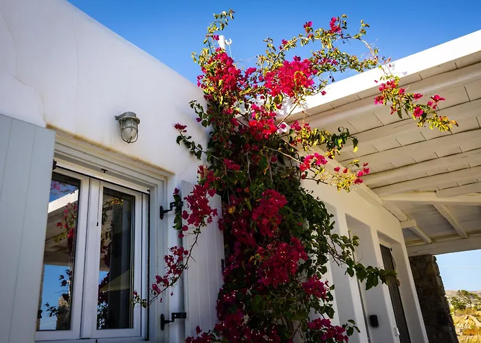 Villa Artemis Mykonos Town