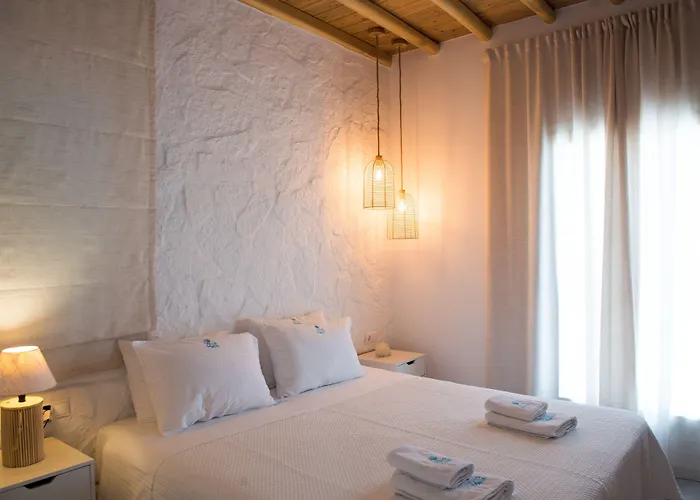 Pet friendly Villa Meliti Mykonos Town